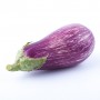 ❀ Graines d’aubergine lilas