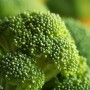 ❀ Semillas Brócoli Verde