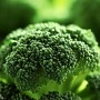 ❀ Green Broccoli Seeds