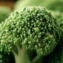 ❀ Green Broccoli Seeds