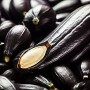 ❀ Zucchini Schwarze Schönheitssamen