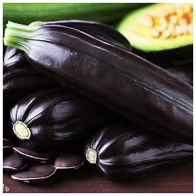 ❀ Graines de beauté noires de courgettes ❀ Graines de beauté noires de courgettes