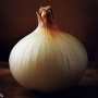 ❀ White Onion Seeds Lisbon