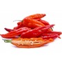 ❀ Graines de piment
