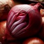 ❀ Graines d’Oignon Rouge de Zalla