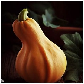 ❀ Butternut Pumpkin Seeds