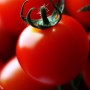 ❀ Semillas de Tomate Cherry Rojo
