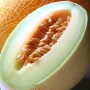 ❀ Graines de Melon Vert Galia