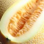 ❀ Graines de Melon Vert Galia