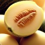 ❀ Semillas de Melón Verde Piel de Sapo