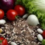 ❀ Frisches Salatsamen-Set