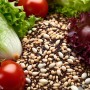 ❀ Frisches Salatsamen-Set