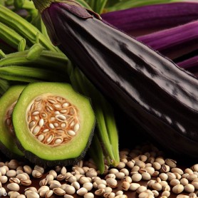 ❀ Kit Semillas de Sabores Exóticos ❀ Kit Semillas de Sabores Exóticos