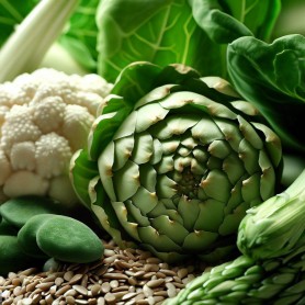 ❀ Kit Semillas Saludables ❀ Kit Semillas Saludables