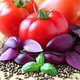 ❀ Samenset für italienische Küche ❀ Samenset für italienische Küche