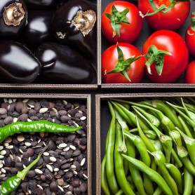 ❀ Samenset mit spanischem Geschmack ❀ Samenset mit spanischem Geschmack
