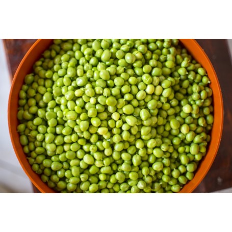 ❀ Graines de pois capucins