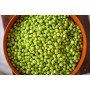 ❀ Graines de pois capucins