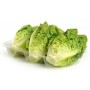 ❀ Graines de laitue romaine