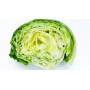 ❀ Graines de laitue romaine