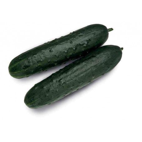 ❀ Semillas de Pepino Largo