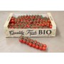 ❀ Semillas de Tomate Cherry Rojo