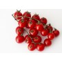 ❀ Semillas de Tomate Cherry Rojo