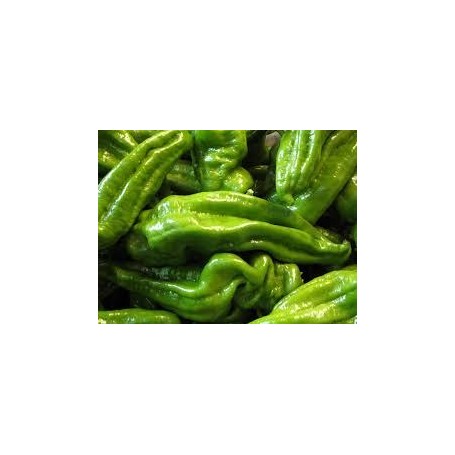 ❀ Semillas de Pimiento Verde Dulce Italiano