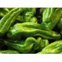 ❀ Italiaanse Zoete Groene Paprika Zaden
