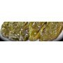 ❀ Italiaanse Zoete Groene Paprika Zaden