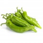 ❀ Italiaanse Zoete Groene Paprika Zaden