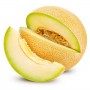 ❀ Graines de Melon Vert Galia