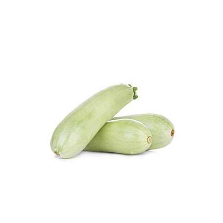 ❀ Semillas de Calabacín Blanco