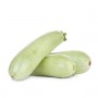 ❀ Semillas de Calabacín Blanco