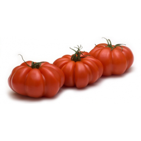 ❀ Montserrat Tomato Seeds