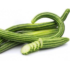 ❀ Alficoz Graines de concombre ❀ Alficoz Graines de concombre