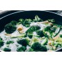 ❀ Green Broccoli Seeds