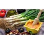 ❀ Graines de Calçots
