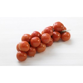 ❀ Tomato Seeds from Colgar Mallorquín