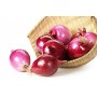 ❀ Graines d’Oignon Rouge de Zalla