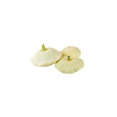 ❀ Semillas de Calabaza Blanca Peter Pan