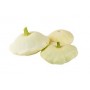 ❀ Graines de citrouille blanche Peter Pan