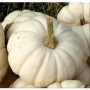 ❀ Semillas de Calabaza Blanca Peter Pan