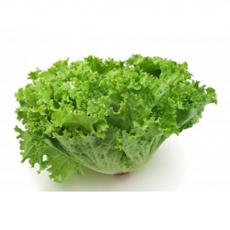 ❀ Wundersalat Samen