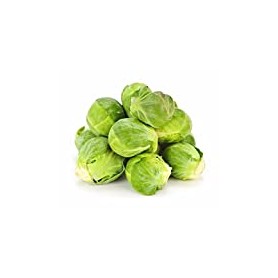 ❀ Bruxelles Seeds Sanda ❀ Bruxelles Seeds Sanda