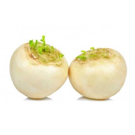 ❀ Schneeball Runde Rübensamen ❀ Schneeball Runde Rübensamen