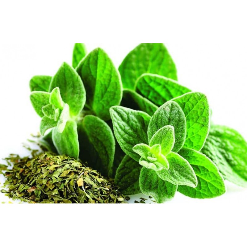 ❀ Semillas de Oregano