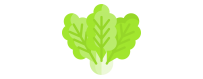 ▷ Salatsamen Verkauf |【Uecologics】