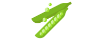 ▷ Salatsamen Verkauf |【Uecologics】
