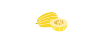 ▷ Melonensamen Verkauf |【Uecologics】